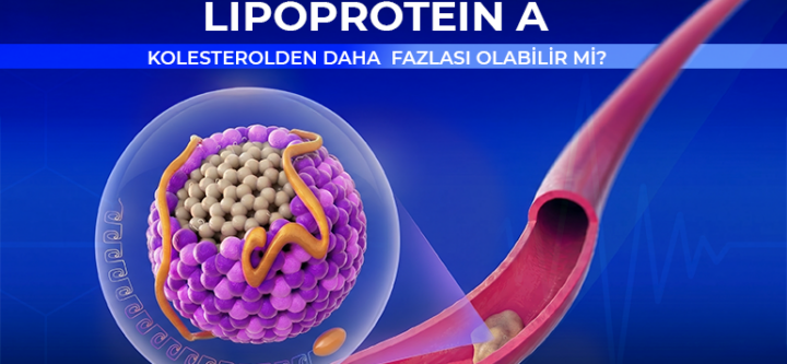 LIPOPROTEIN A-2