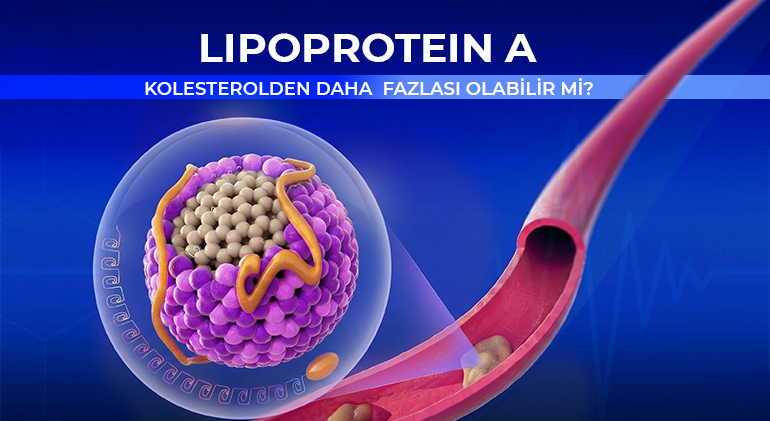 LIPOPROTEIN A-2